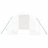 vidaXL 温室 スチールフレーム ホワイト 6m² 3x2x2 m