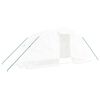 vidaXL 温室 スチールフレーム ホワイト10m&sup2; 5x2x2.3 m