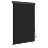 vidaXL 屋外用ローラーブラインド 120x250cm アントラシート