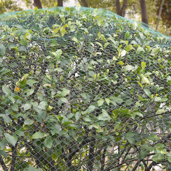 vidaXL 防鳥ネット 2個 6x8m PE製