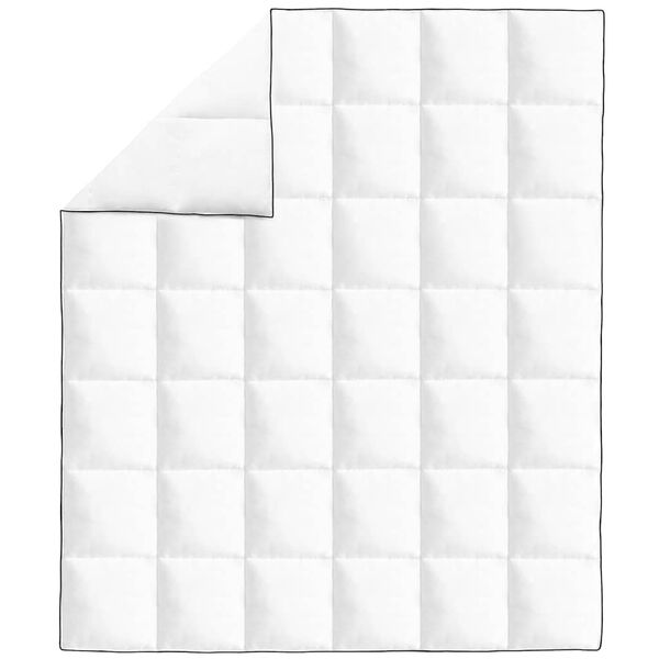 vidaXL 冬用羽毛布団 200x220cm