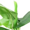 vidaXL 人工観葉植物 バナナの木 ポット付き 300cm グリーン