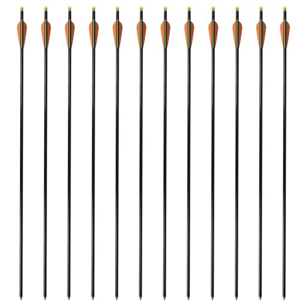 vidaXL コンパウンドボウ用 矢 標準タイプ 30インチ 0.8cm グラスファイバー製 12点