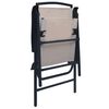 vidaXL 折りたたみガーデンチェア 2点 合成繊維 トープ