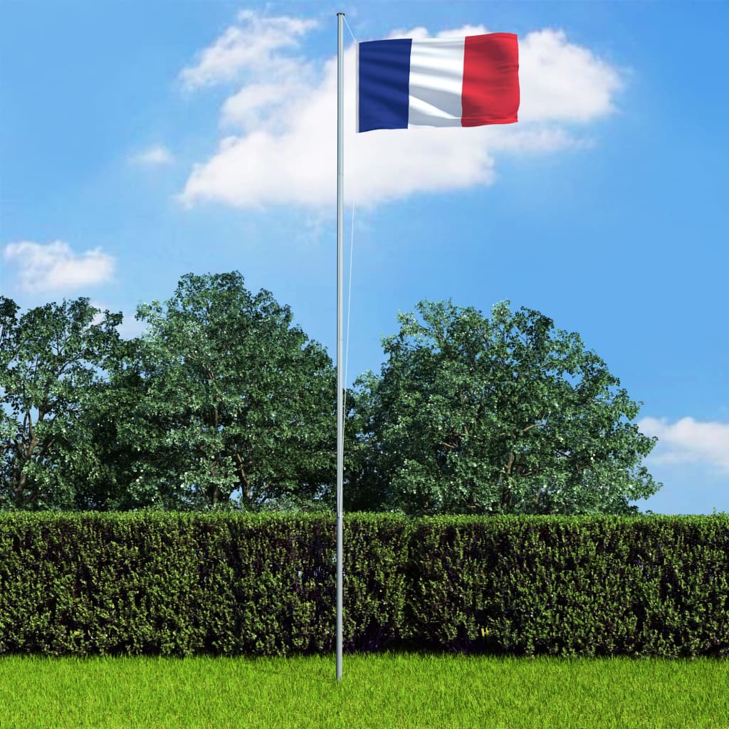 vidaXL フランス 国旗 90x150cm