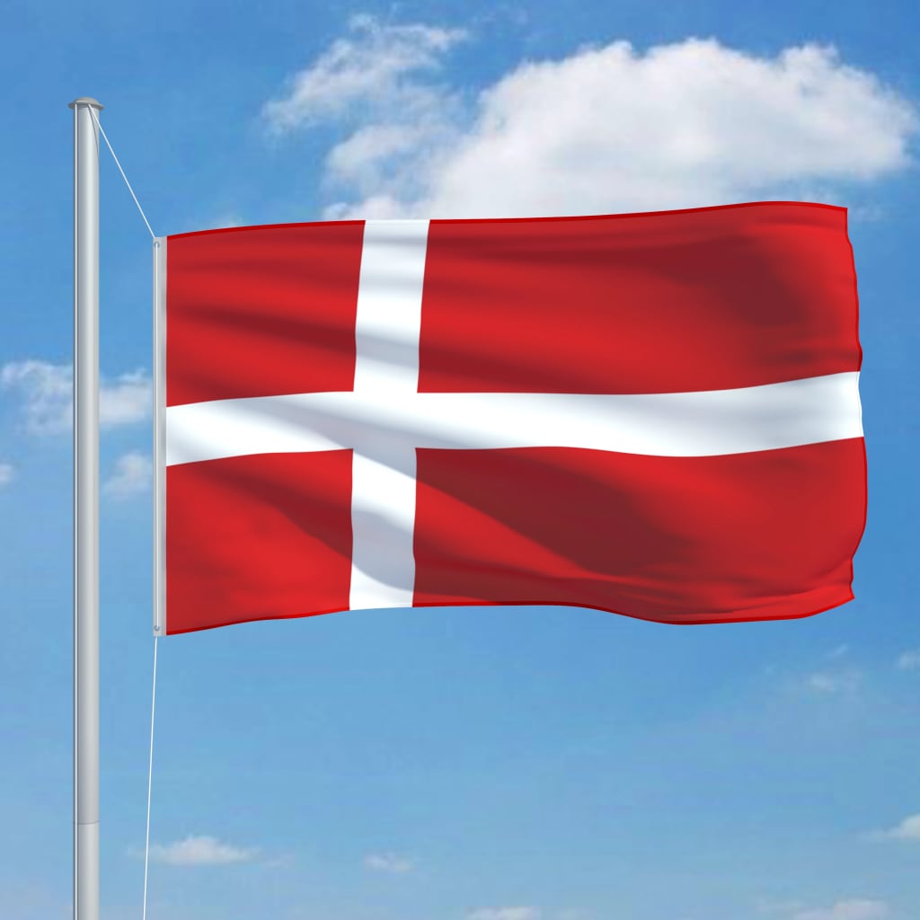 vidaXL デンマーク 国旗 90x150cm